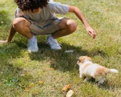 Dean loves to play and spend time with his dog, Charlie.